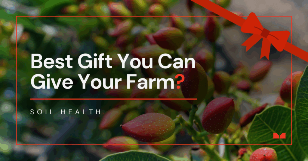 Soil health is the best gift you can give your farm this holiday season