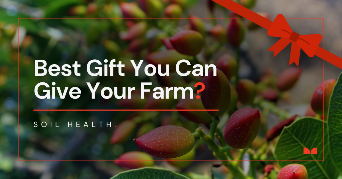 Soil health is the best gift you can give your farm this holiday season